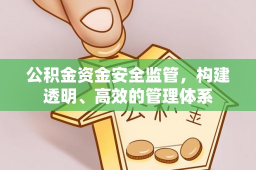 维西公积金资金安全监管，构建透明、高效的管理体系