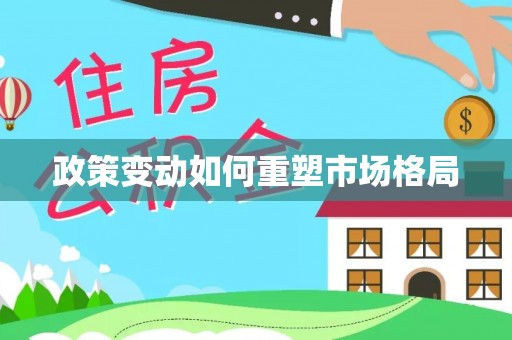 维西政策变动如何重塑市场格局