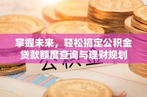 维西掌握未来，轻松搞定公积金贷款额度查询与理财规划