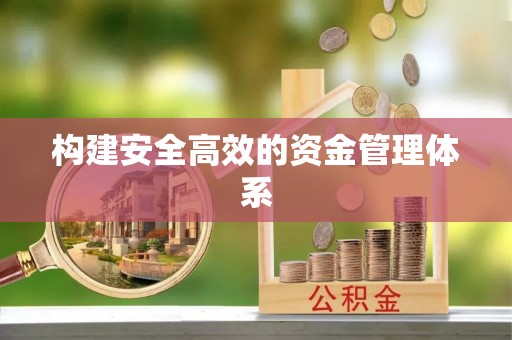 维西构建安全高效的资金管理体系