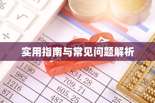 维西实用指南与常见问题解析