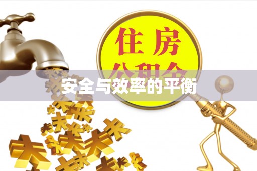 维西安全与效率的平衡
