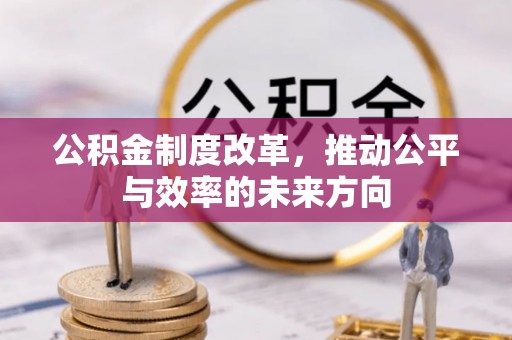 维西公积金制度改革，推动公平与效率的未来方向