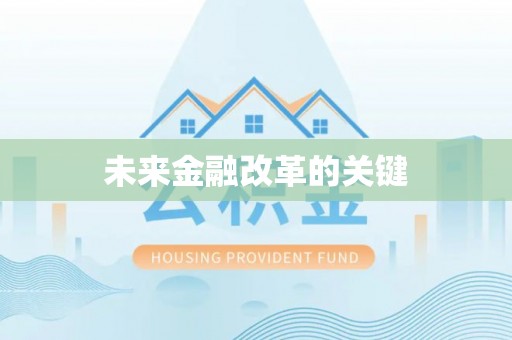 维西未来金融改革的关键