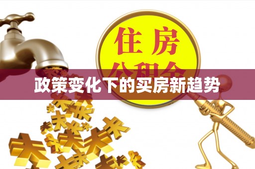 维西政策变化下的买房新趋势