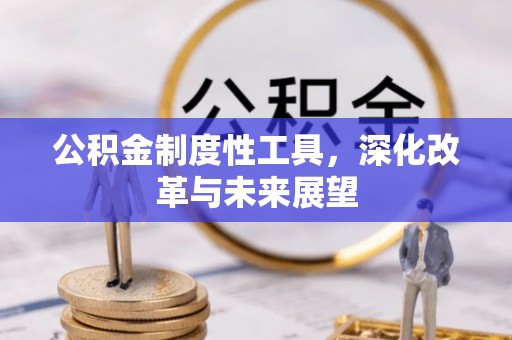 维西公积金制度性工具，深化改革与未来展望