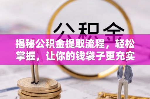 维西揭秘公积金提取流程，轻松掌握，让你的钱袋子更充实