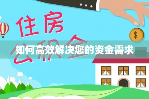 维西如何高效解决您的资金需求