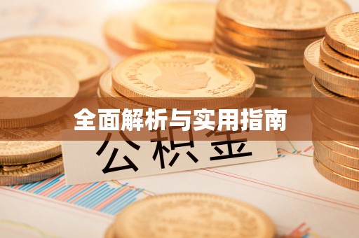 维西全面解析与实用指南