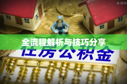 维西全流程解析与技巧分享